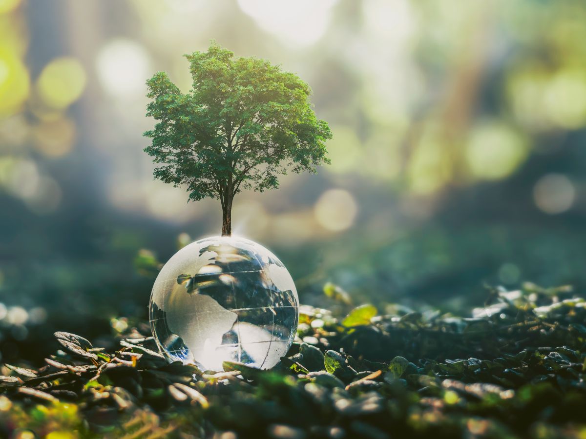 民宿減碳環保政策